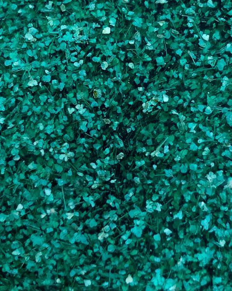 Crooz Гель для нарощування та дизайну Flower gel 3, 5 мл 00000025555 фото